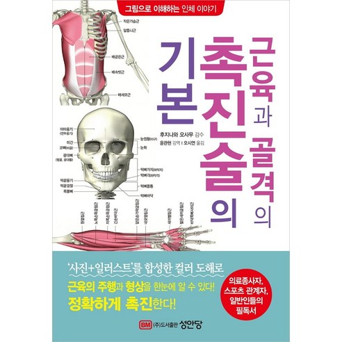 근육과 골격의 촉진술의 기본:의료종사자 스포츠 관계자 일반인들의 필독서, 성안당, 후지나와 오사무