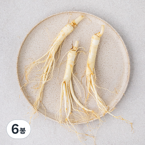 곧게 뻗은 금산 세척 수삼, 60g, 6봉