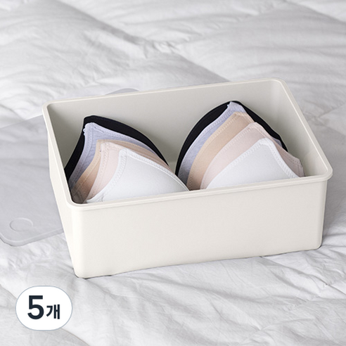 이즈리빙 칸칸칸 속옷정리함 1칸, 아이보리 + 반투명, 5개
