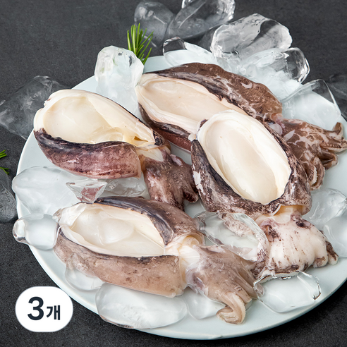 살맛나요 탱글탱글 손질 갑오징어 (냉장), 400g, 3개