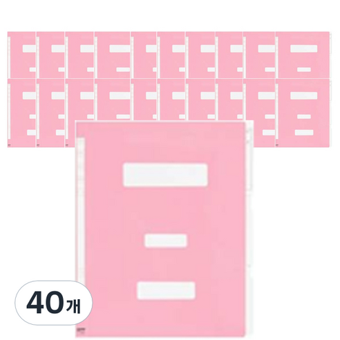 PP 정부화일, 분홍색, 40개