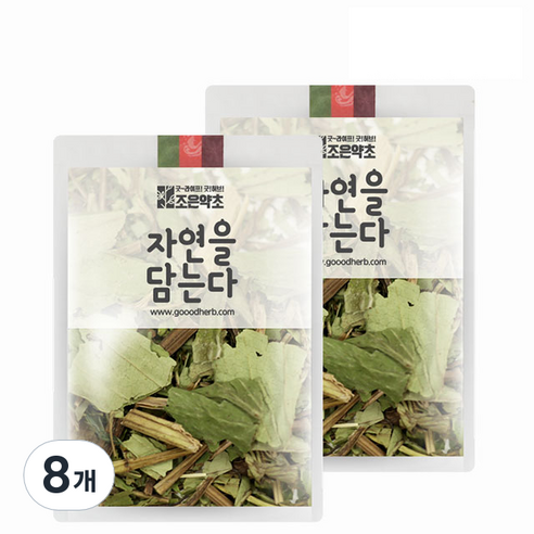 조은약초 프리미엄 삼백초 잎, 100g, 8개
