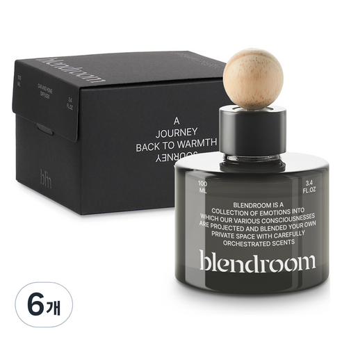 블랜드룸 차량용 디퓨저 100ml, 6개, 블랙체리나이트
