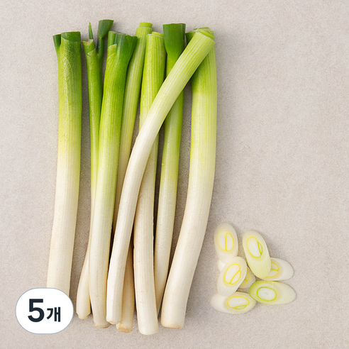 국내산 친환경 손질한 흰줄기 대파, 350g, 5개