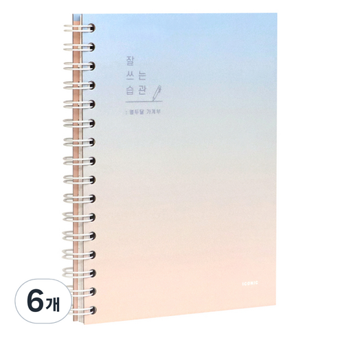 아이코닉 잘 쓰는 습관 열두달 가계부 만년형 용돈기입장, 06 Sunrise, 6개