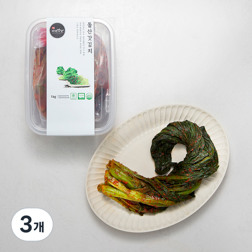 나래밥상 돌산 갓김치, 1kg, 3개