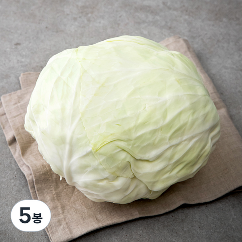 제주도 유기농 양배추, 1.2kg, 5봉
