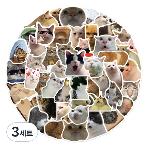 특별한상점 노트북 캐리어 여행 귀여운 고양이 스티커 세트 GT216, 미야오 월드, 3세트