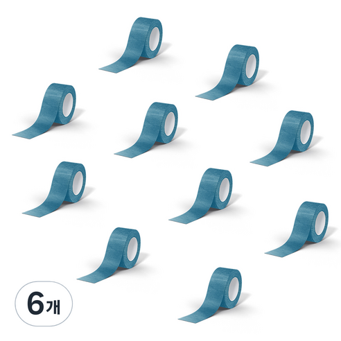 데이바이데이 바른생활이야기 밴드 2.5cm x 4.5m 블루, 6개, 10개입