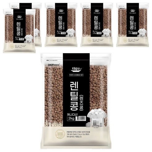 더담은 렌틸콩 렌즈콩, 2kg, 6개