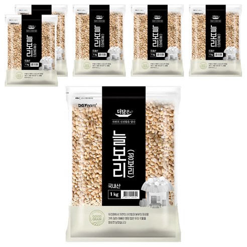 더담은 국산 늘보리 꽁보리, 1kg, 6개