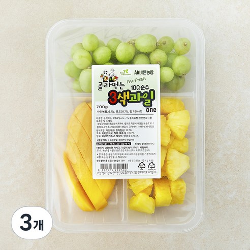 3색과일 one (망고 포도 파인애플), 3개, 700g
