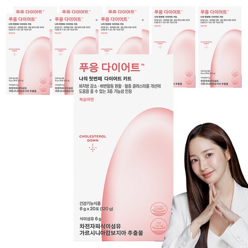 푸응 다이어트 차전차피 가르시니아, 120g, 9박스