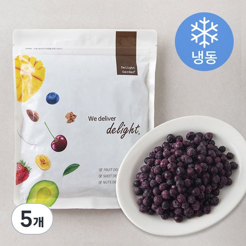 캐나다산 와일드블루베리 (냉동), 500g, 5개