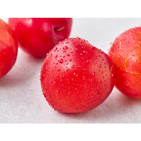 당도선별 자두로 맛있는 행복을!