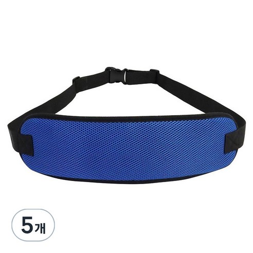 Dr.펠리스제이 휠체어 스트랩 안전벨트 블루, 5개