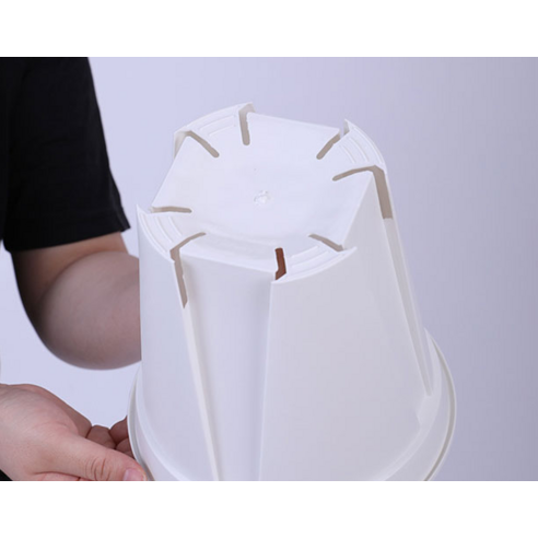 숨쉬는 슬릿, 식물 초보도 금손 되는 마법!