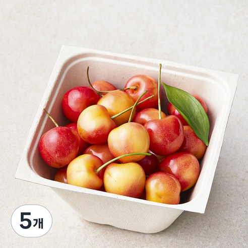 아주마 국내산 산지직송 영동 레이니어 체리, 250g, 5개