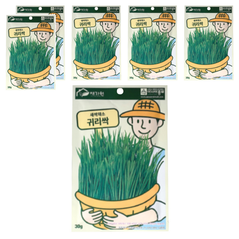 채가원 퍼피가드 싹 캣그라스, 귀리, 30g, 6개