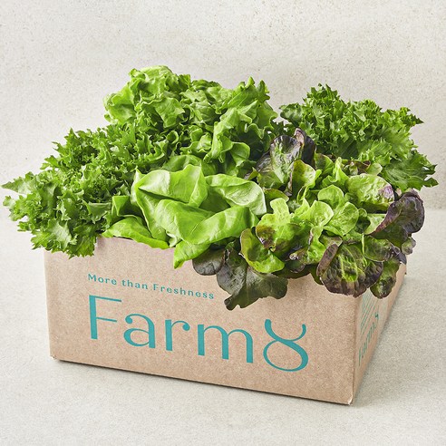 신선함이 식탁에 피어나는 경험, 팜에이트 무농약 유러피안 샐러드 꾸러미