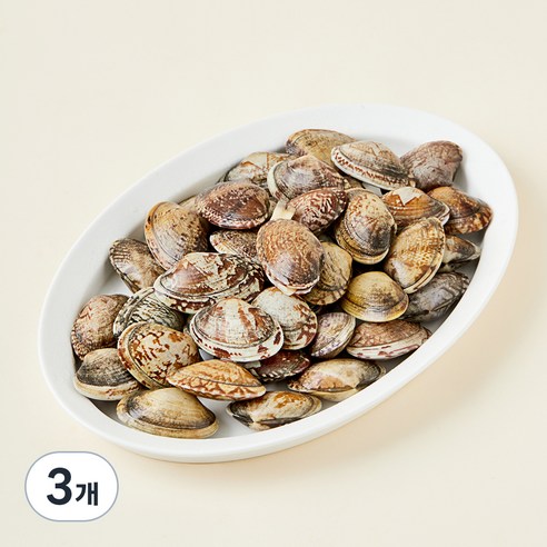 남해안 산지직송 자연산 생물 왕바지락 (냉장), 800g, 3개