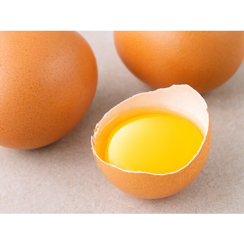 동물복지 인증 유정란, 건강하고 맛있는 계란, 냉장 보관, 로켓프레시