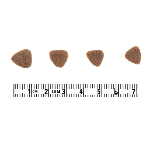 사랑하는 고양이를 위한 최고의 선택