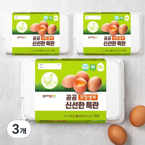 곰곰 무항생제 신선한 특란, 15구, 3개