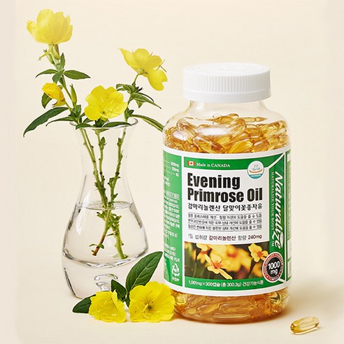 건강한 라이프스타일을 위한 필수 선택