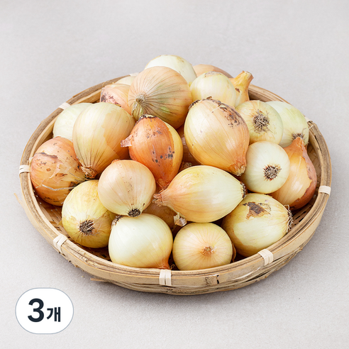 국내산 양파(장아찌용), 4kg, 3개