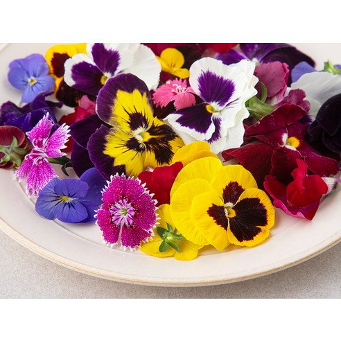 식탁 위에 피어나는 예술, 국내산 식용화로 특별한 미식 경험을 선사하세요