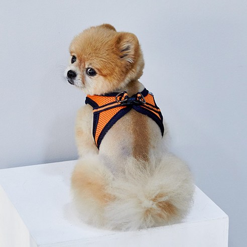 리얼펫 4계절슬림 조끼하네스, ORANGE