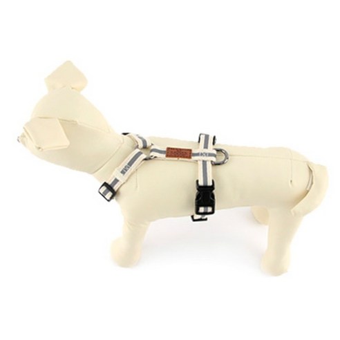 부드러운 안심, 도그아이 하네스로 시작하는 행복한 산책