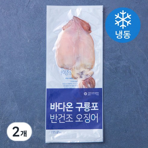 바다온 포항시 인증 한마리 구룡포 반건조 오징어 (냉동), 110g, 2개