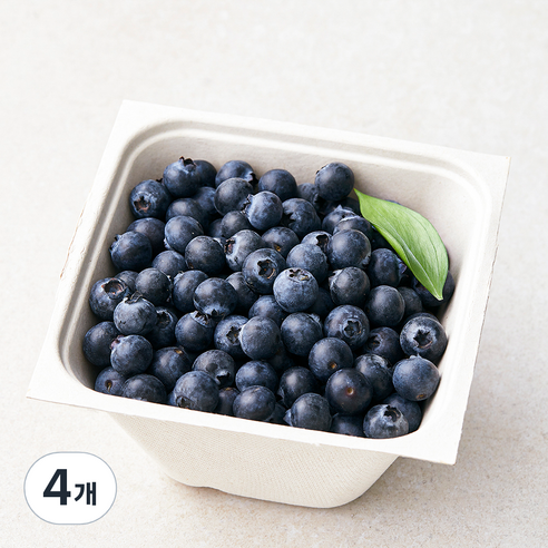 아주마 무농약 인증 산지직송 작아도 맛있는 블루베리, 250g, 4개