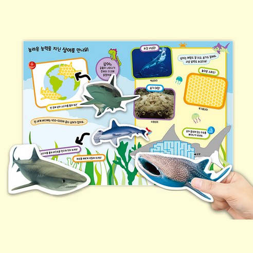 國產書 書 BOOK 書 書 國產書 嬰幼兒 KIDS KID 小孩