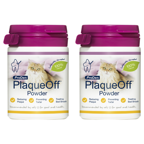 플라그오프 고양이 파우더 영양제, 구강/치석관리, 40g, 2개