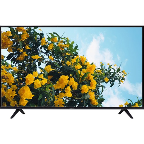 와이드뷰 FHD LED TV, 109cm(43인치), WV430FHD-E01, 스탠드형, 고객직접설치