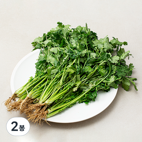 국내산 고수, 300g, 2봉