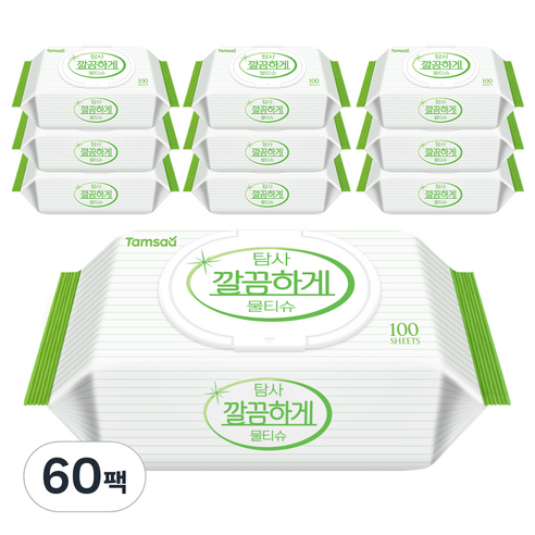 탐사 깔끔하게 다용도 물티슈 캡형 50평량, 100매, 60개