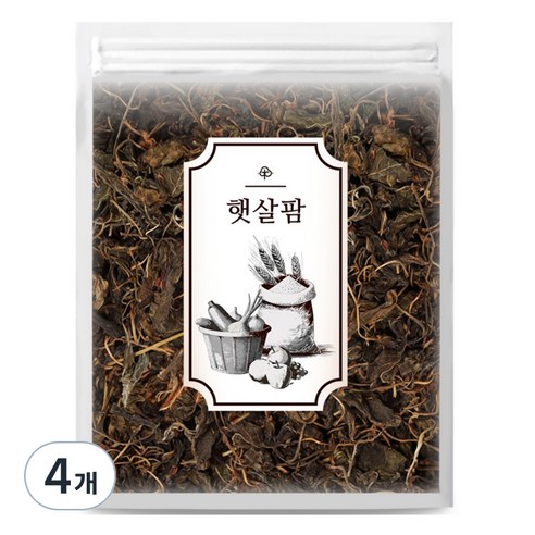 햇살팜 국산 건고추잎, 100g, 4개