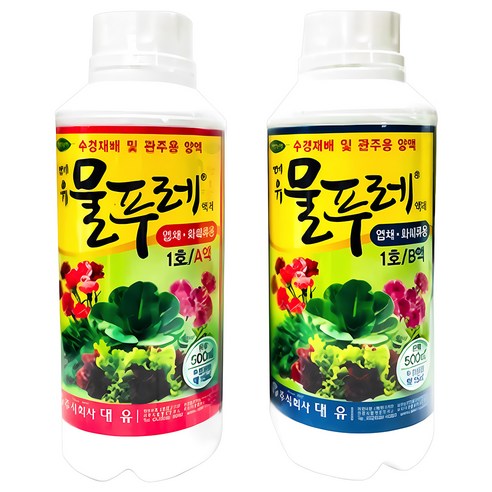 당신의 예술적 열정을 깨우는 마법의 도구, 대유 물푸레 1호