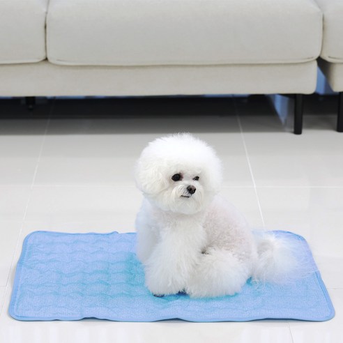 마이또 반려동물 쿨매트