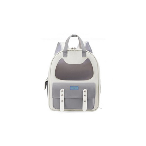 반려동물과 함께하는 즐거운 외출