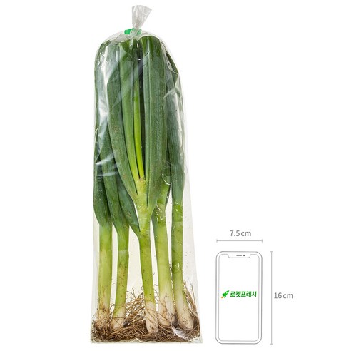 흙대파: 영양가 풍부한 채소의 풍미와 건강상 이점