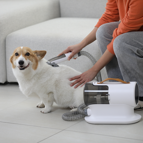 반려동물의 털 관리를 위한 혁명적인 솔루션
