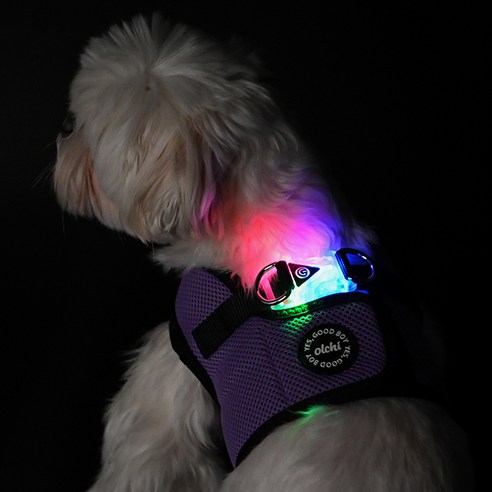 올치 강아지 야간 LED 콤비 메쉬 하네스 B형 HB6295, 퍼플