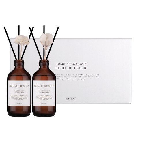 에이센트 네이처 디퓨저 본품형 200ml x 2p 세트, 시그니처솝, 1개