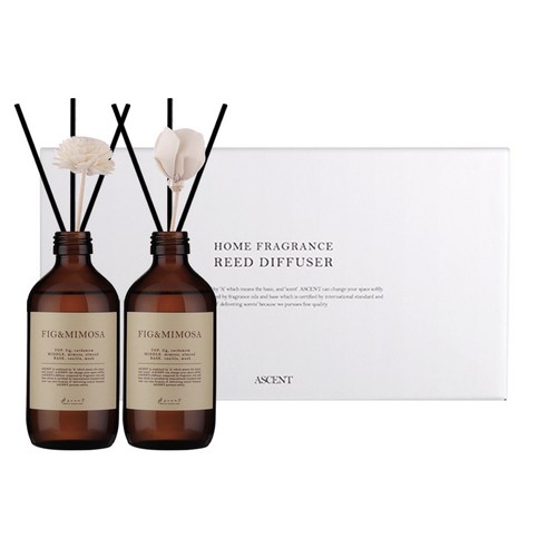 에이센트 네이처 본품형 디퓨저 200ml x 2p 세트, 휘그 앤 미모사