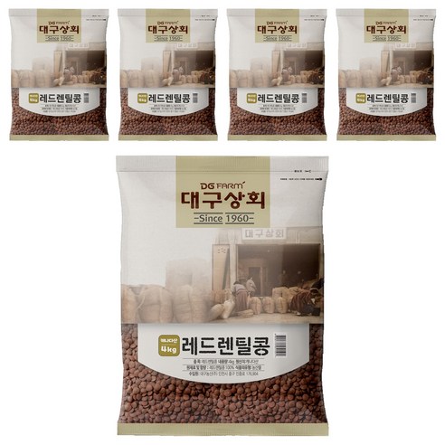 대구상회 레드렌틸콩, 4kg, 5개